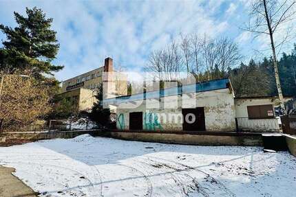 Halle in Hohenleuben 99.000 € 4310.74 m² zimmer