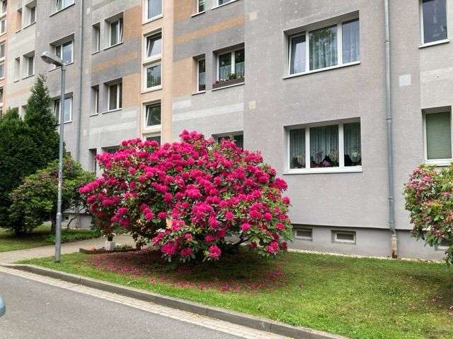 Etagenwohnung Hermsdorf - 3 Zimmer, 59 m&sup2;, 350&euro; | Angebot:26449448