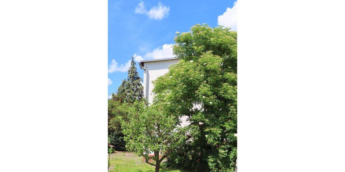 Mehrfamilienhaus, Wohnhaus Zeulenroda-Triebes Zeulenroda - 5 Zimmer, 143 m&sup2;, 119.500&euro; | Angebot:26778490