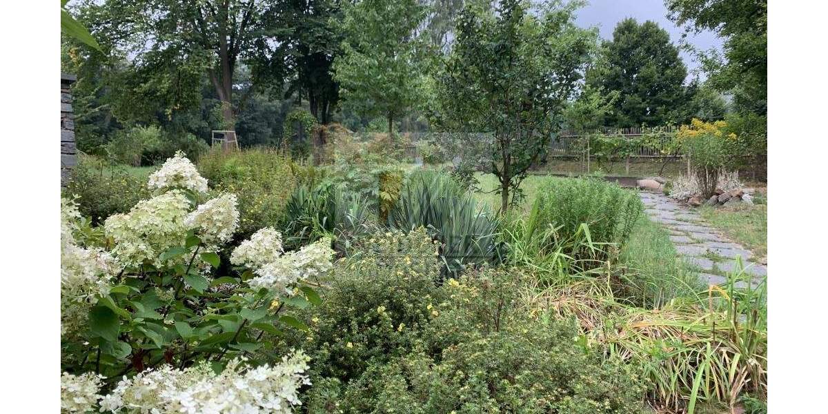 Repräsentative Gewerbefläche mit historischem Charme in Gera-Debschwitz! 1 zimmer