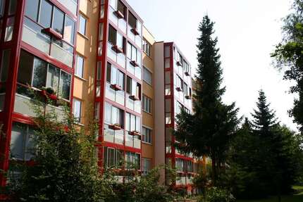 Zimmer Zeitz Hainichen - 2 Zimmer, 550&euro; | Angebot:23787103