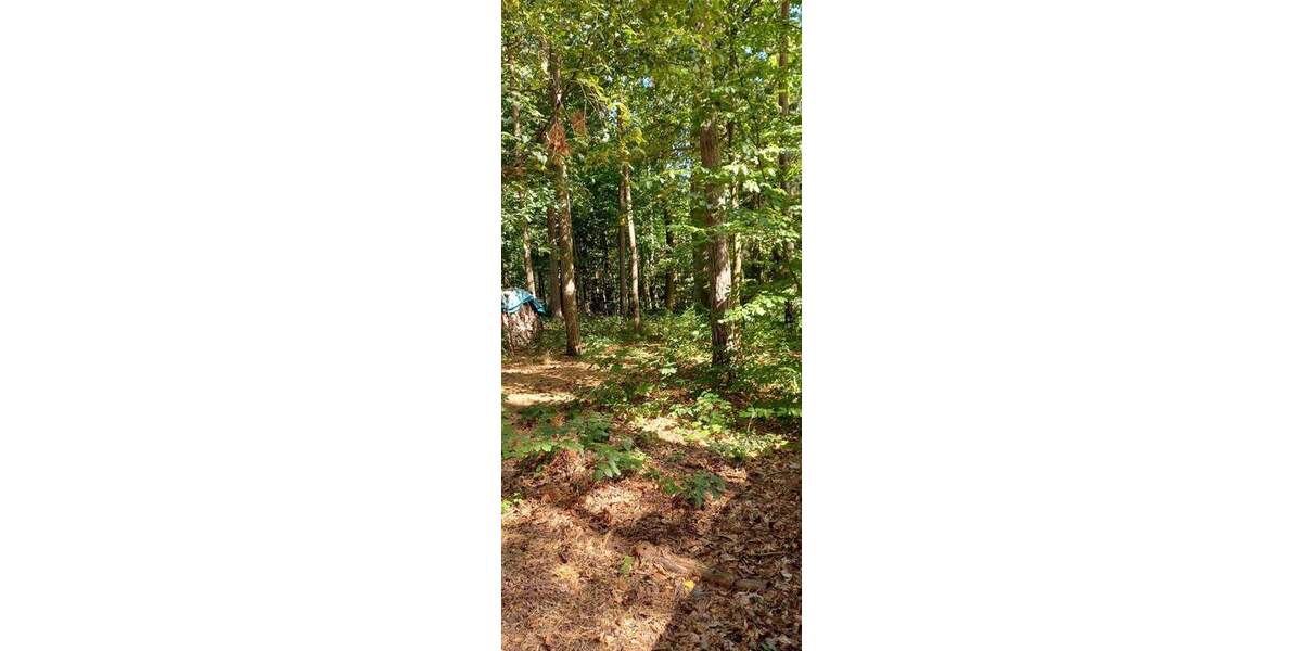 Grundstück Zeulenroda-Triebes Triebes - 39.500&euro; | Angebot:25338587