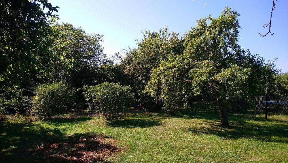 Einfamilienhaus Zeulenroda - 5 Zimmer, 120 m&sup2;, 330.000&euro; | Angebot:25996821