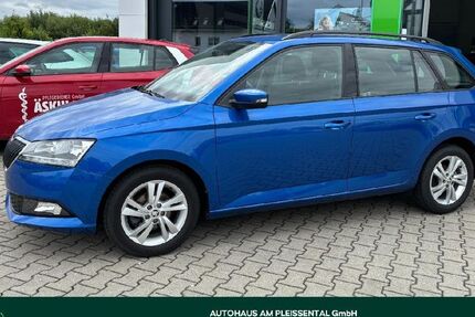Skoda Fabia 22.076 km 14.950 € Werdau 08412