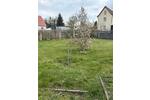 Einfamilienhaus Auma-Weidatal Weidatal - 5 Zimmer, 109 m&sup2;, 89.900&euro; | Angebot:24711393