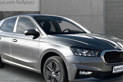 Skoda Fabia 8.000 km 24.000 &euro; Eisenberg 07607