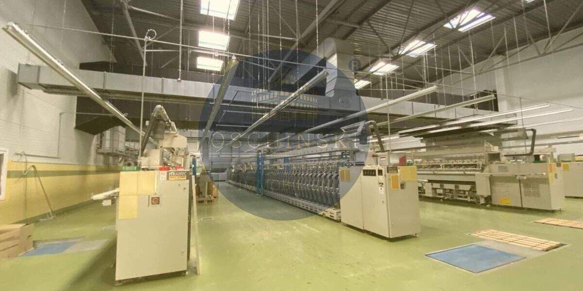 Gewerbeobjekt Zeulenroda-Triebes Triebes - 1.650.000&euro; | Angebot:25678689