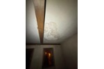 Mehrfamilienhaus, Wohnhaus Altenburg - 30 Zimmer, 1.600 m&sup2;, 200.000&euro; | Angebot:27178116