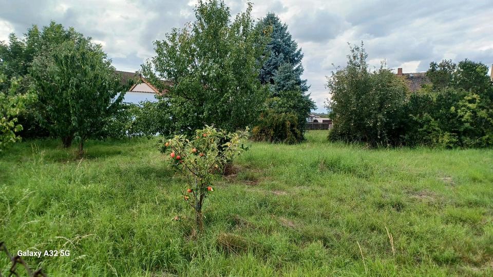 Einfamilienhaus Meuselwitz - 5 Zimmer, 145 m&sup2;, 60.000&euro; | Angebot:25235758