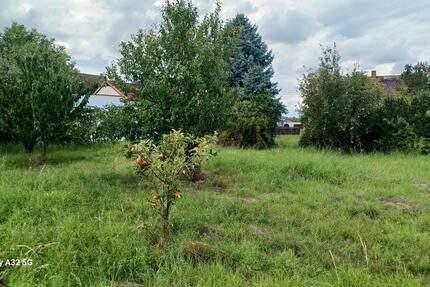 Haus Meuselwitz - 5 Zimmer, 145 m&sup2;, 60.000&euro; | Angebot:25235758