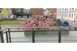 Hochparterre Greiz - 1 Zimmer, 56 m&sup2;, 538&euro; | Angebot:26690808