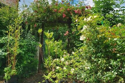 Haus Auma-Weidatal Weidatal - 5 Zimmer, 115 m&sup2;, 125.000&euro; | Angebot:25299133