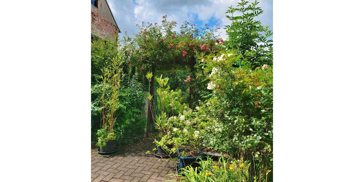 Reihenhaus Auma-Weidatal Weidatal - 5 Zimmer, 115 m&sup2;, 125.000&euro; | Angebot:25299133