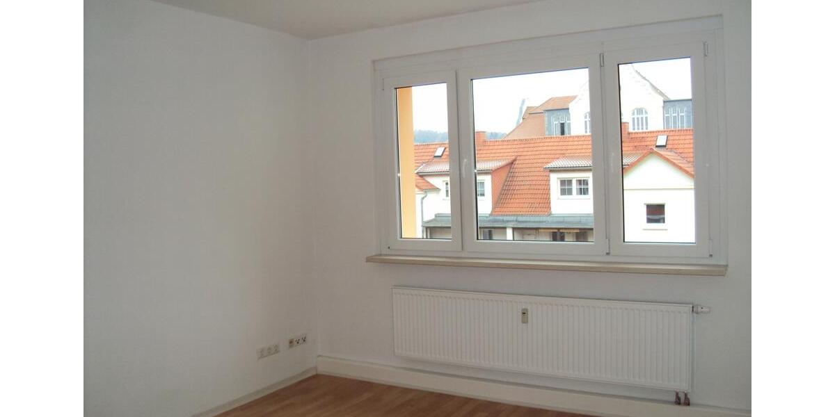 Sanierte 1-Raum-Wohnung in Debschwitz mit Dusche und Aufzug 1 zimmer