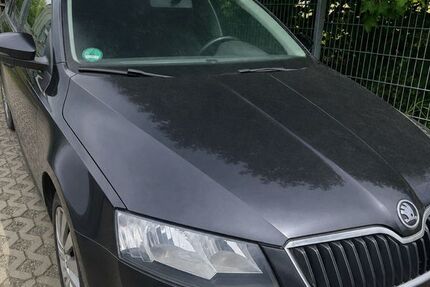 Skoda Octavia 220.000 km 5.000 &euro; Seelingstädt 07580