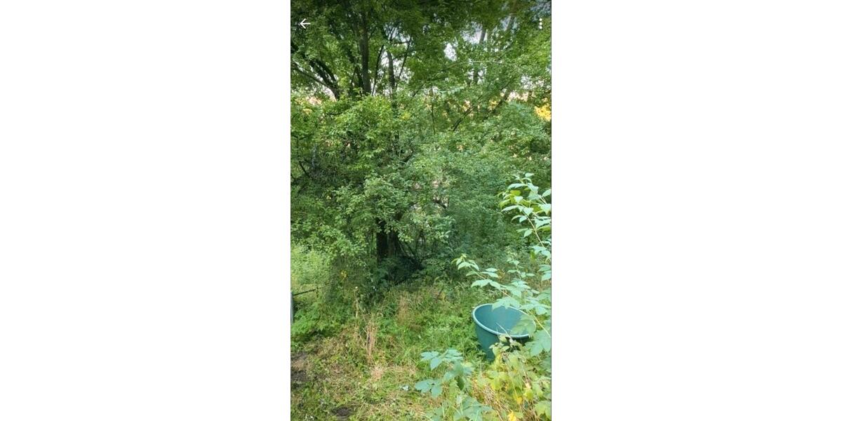 Grundstück Stadtroda - 9.500&euro; | Angebot:26089427