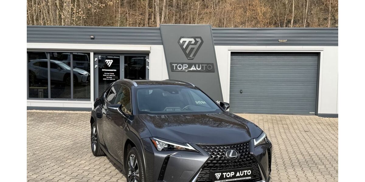 Lexus UX 56.567 km 28.799 &euro; Weida 07570