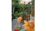 Dachgeschoßwohnung Altenburg - 2 Zimmer, 60 m&sup2;, 400&euro; | Angebot:25993598