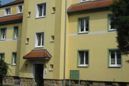 Wohnung Meuselwitz Falkenhain - 3 Zimmer, 54 m&sup2;, 225&euro; | Angebot:24639402