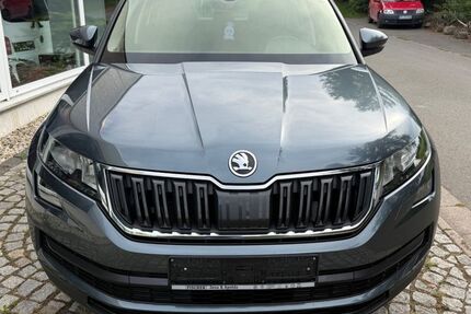Skoda Kodiaq 122.580 km 17.900 € Hohenölsen 07570