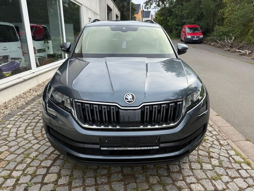 Skoda Kodiaq 122.580 km 17.900 € Hohenölsen 07570