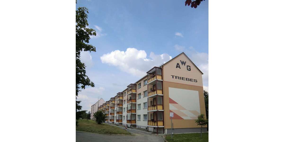 Etagenwohnung Zeulenroda-Triebes Triebes - 1 Zimmer, 32 m&sup2;, 239&euro; | Angebot:26935090