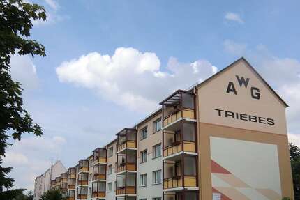 Wohnung Zeulenroda-Triebes Triebes - 1 Zimmer, 32 m&sup2;, 239&euro; | Angebot:26935090