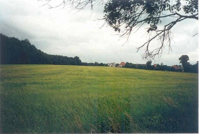 da gabs mal einen WOHNbebauungsplan nur für PROFIS für RH, DH, EFH, Mischgebiet, Draht zum Amt notwendig zimmer