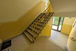 ++ Ihr neues Zuhause! - traumhafte 2-Raum Wohnung im wunderschönen Marienthal ++