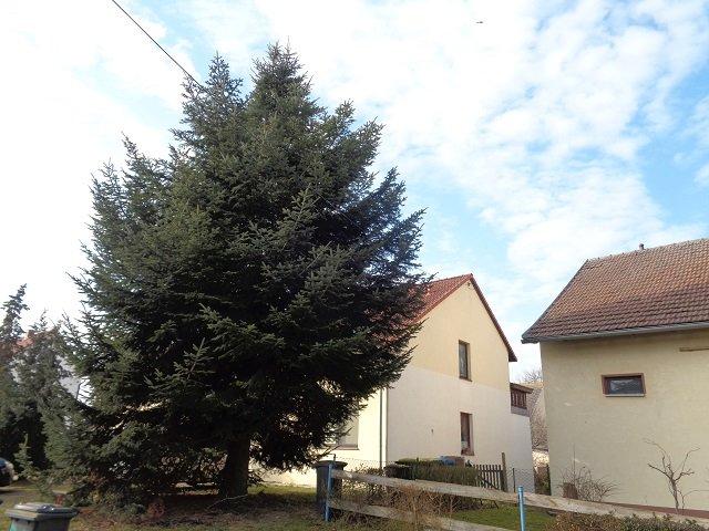 Dachgeschoßwohnung Triptis - 2 Zimmer, 65 m&sup2;, 430&euro; | Angebot:26035228
