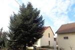 Dachgeschoßwohnung Triptis - 2 Zimmer, 65 m&sup2;, 430&euro; | Angebot:26035228