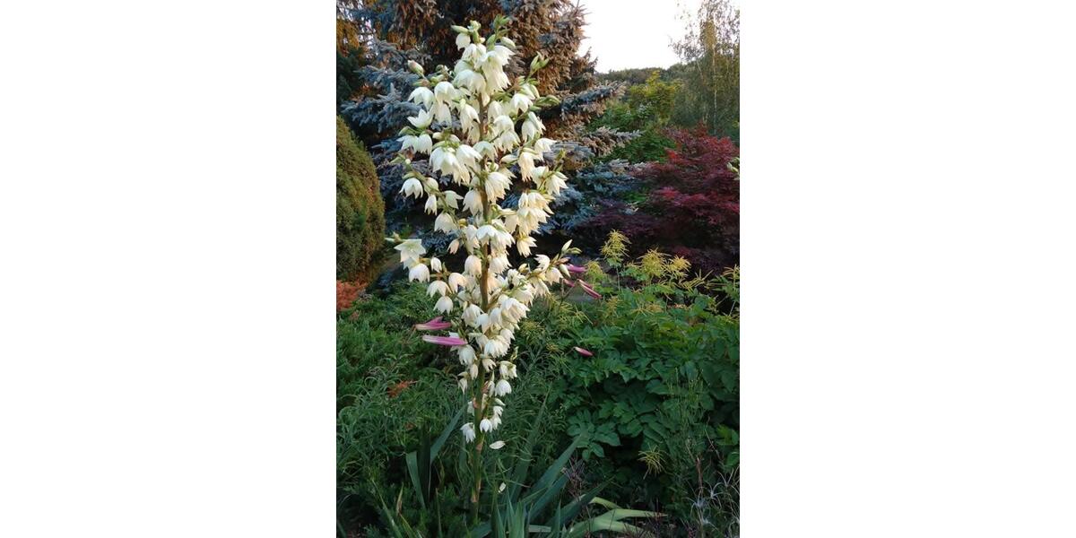 Einfamilienhaus Kraftsdorf - 2 Zimmer, 50 m&sup2;, 34.900&euro; | Angebot:19937427