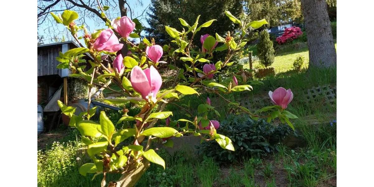 Einfamilienhaus Kraftsdorf - 2 Zimmer, 50 m&sup2;, 34.900&euro; | Angebot:19937427