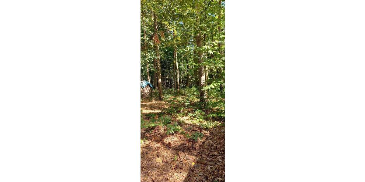 Grundstück Zeulenroda-Triebes Triebes - 39.500&euro; | Angebot:25338587