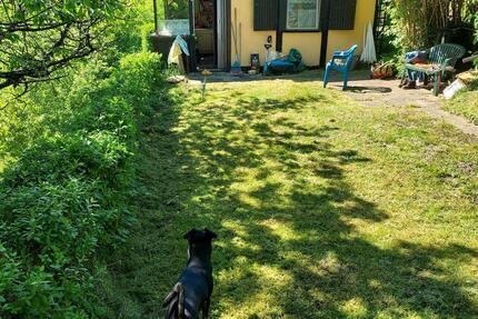 Haus Stadtroda - 15.000&euro; | Angebot:26238159