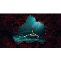 Die Walküre - Wagner (Royal Ballet & Opera 2024/25)