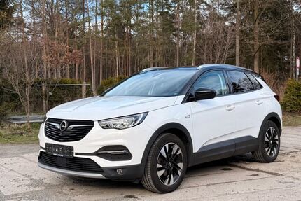 Opel Grandland (X) 43.000 km 16.999 &euro; St. Gangloff 07629