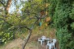 Grundstück Stadtroda - 9.500&euro; | Angebot:26089427