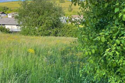 Grundstück zu verkaufen in Burbach 50.000 € 1100 m²