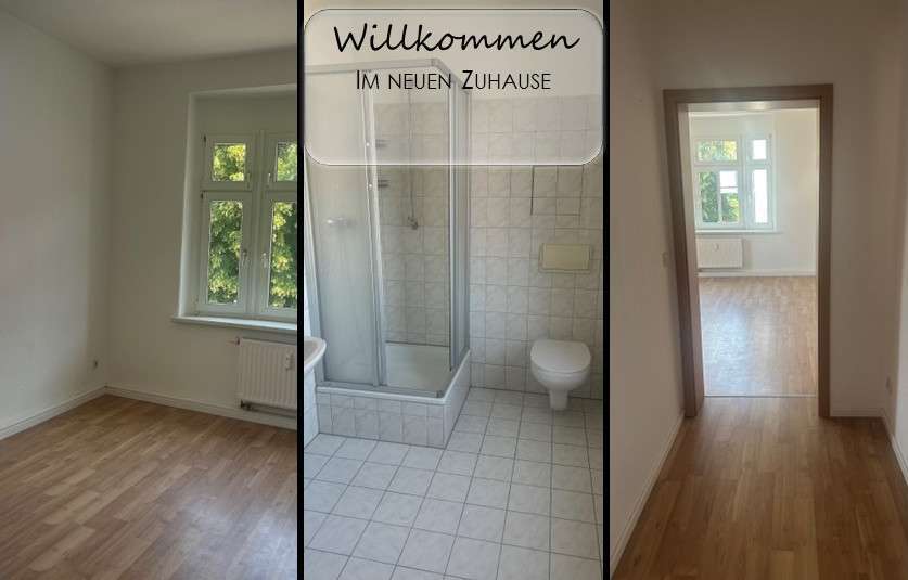Wohnung zum Mieten in Zwickau 210 € 35.6 m²