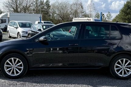 VW Golf 205.179 km 7.766 &euro; Schleifreisen 07629