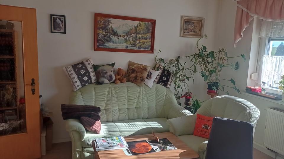 Etagenwohnung Rositz - 3 Zimmer, 65 m&sup2;, 45.000&euro; | Angebot:23187798