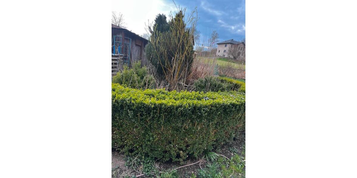 Einfamilienhaus Neustadt an der Orla - 2 Zimmer, 65 m&sup2;, 25.000&euro; | Angebot:26210941