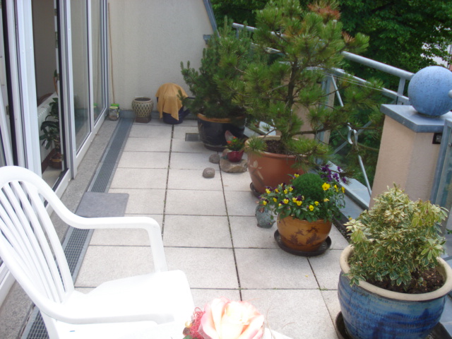 Für den Selbstnutzer - Eigentumswohnung mit TG-Stellplatz - Dachgeschoßwohnung Gera Alt-Bieblach | Angebot:26586652
