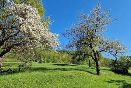 Traumhaftes Baugrundstück in idyllischer, sehr ruhiger Lage in Jena zimmer