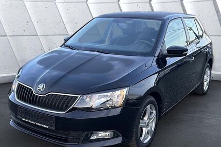 Skoda Fabia 85.591 km 9.999 &euro; Schleifreisen 07629
