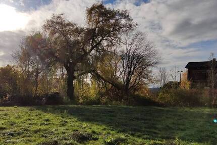 Grundstücksbesichtigung - 04.01.2026 zimmer