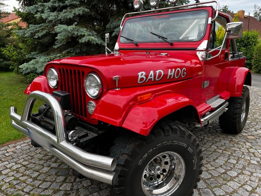 Jeep Wrangler 56.000 km 29.900 € Zeitz 06712