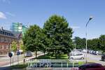Etagenwohnung Greiz Irchwitz - 2 Zimmer, 48 m&sup2;, 280&euro; | Angebot:25678430
