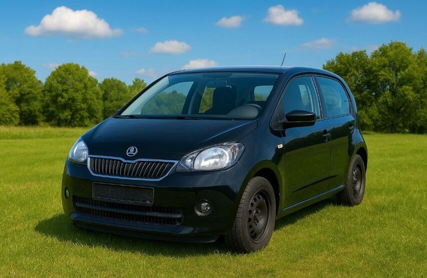 Skoda Citigo 73.300 km 8.200 € Zwickau 08112